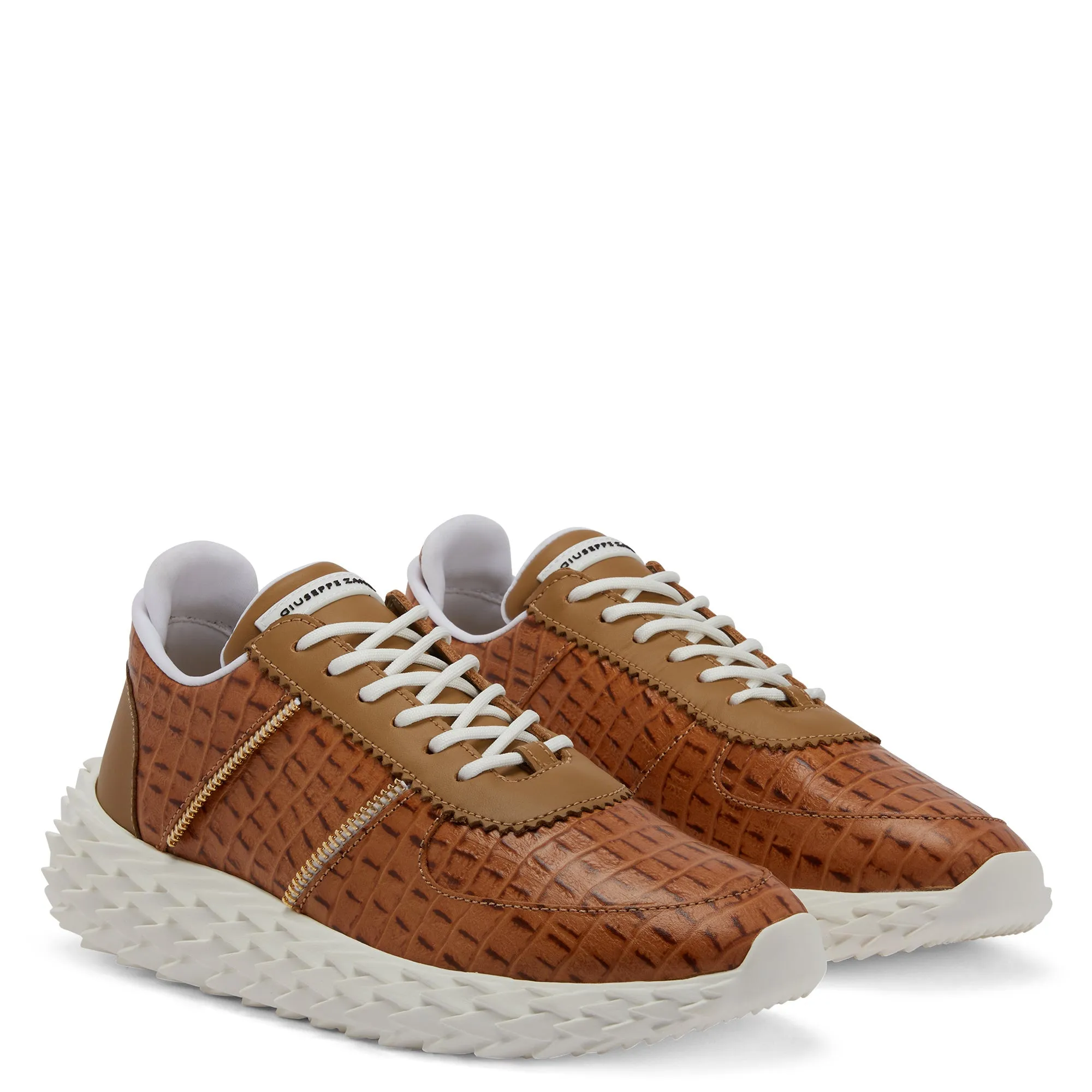Giuseppe Zanotti Urchin