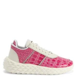 Giuseppe Zanotti Urchin