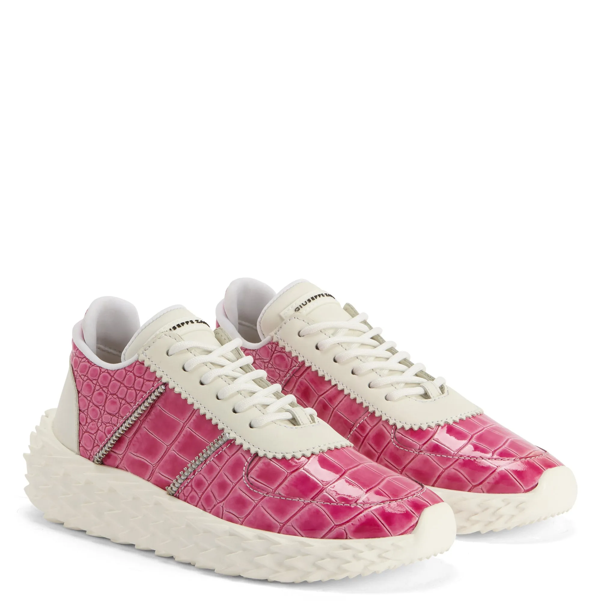 Giuseppe Zanotti Urchin
